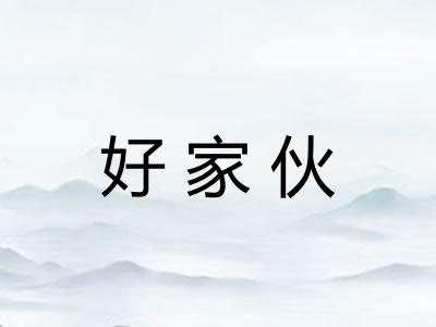 好家伙