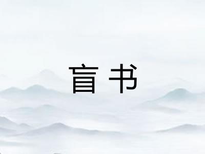 盲书