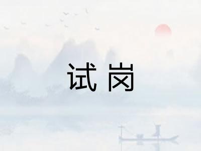 试岗