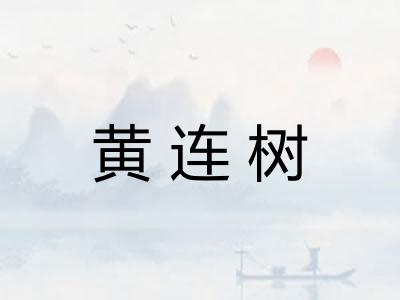 黄连树