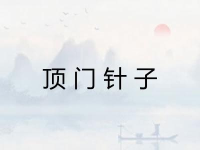 顶门针子