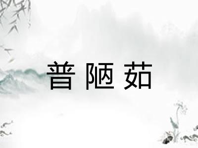 普陋茹