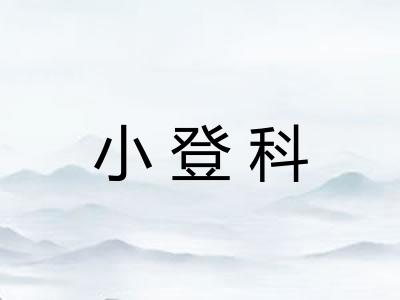 小登科