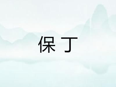 保丁