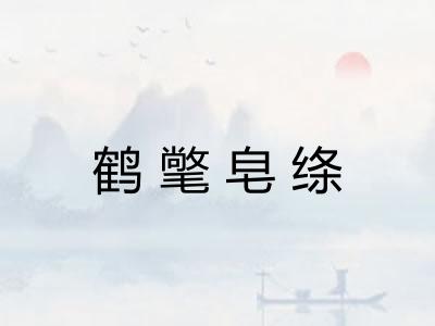 鹤氅皂绦