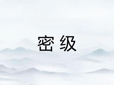 密级