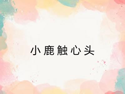 小鹿触心头