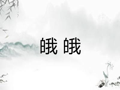 皒皒