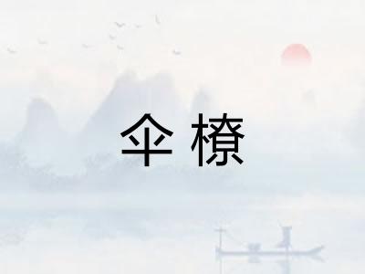 伞橑