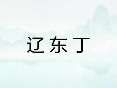 辽东丁