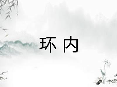 环内