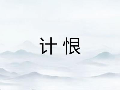 计恨