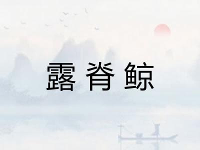 露脊鲸