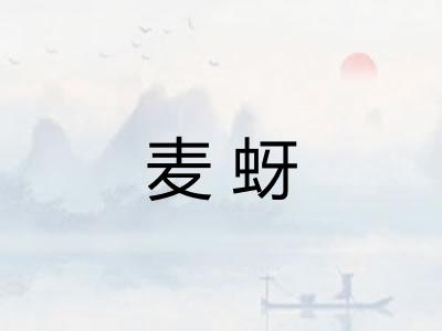 麦蚜