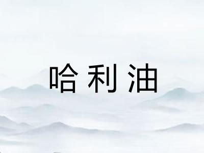 哈利油