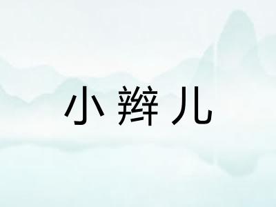 小辫儿