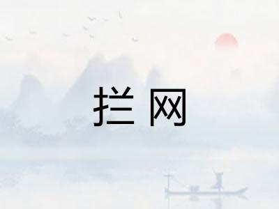 拦网