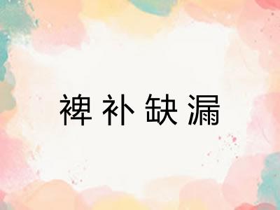 裨补缺漏