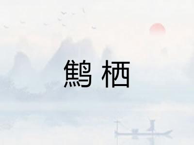 鹪栖