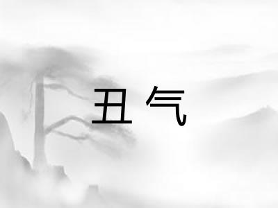 丑气