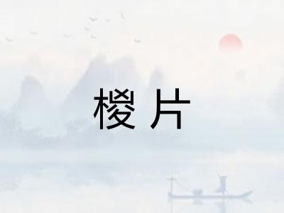 椶片