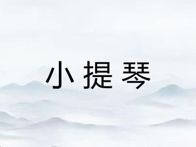 小提琴