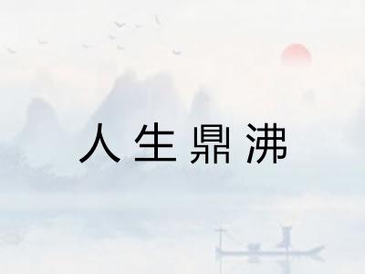 人生鼎沸