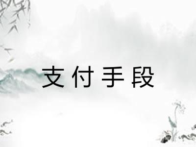 支付手段