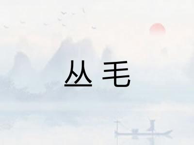 丛毛