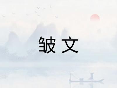 皱文