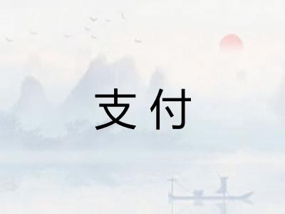 支付