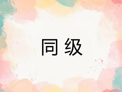 同级