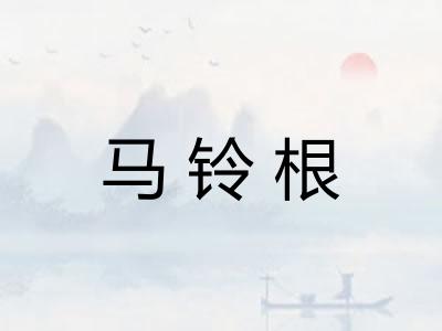 马铃根