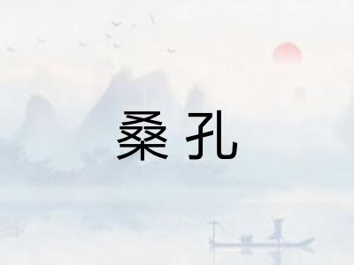 桑孔