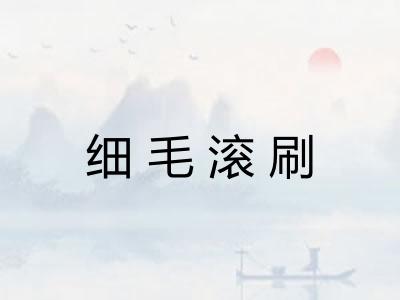 细毛滚刷