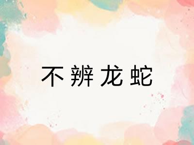 不辨龙蛇