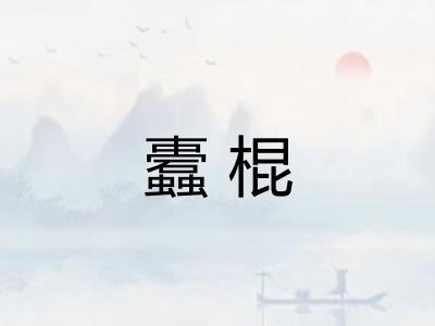 蠹棍