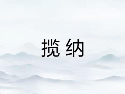 揽纳