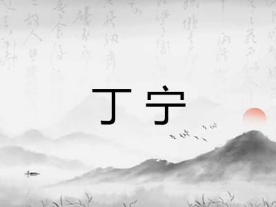 丁宁