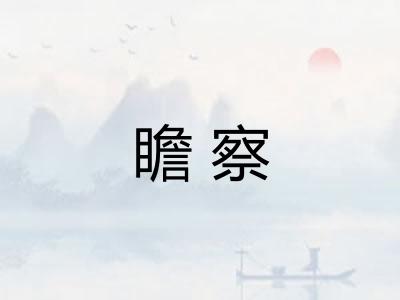 瞻察