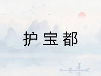 护宝都