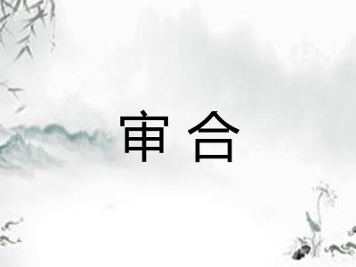 审合