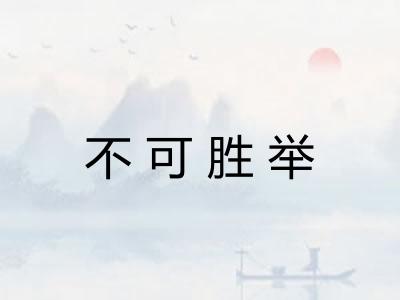 不可胜举