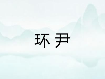 环尹