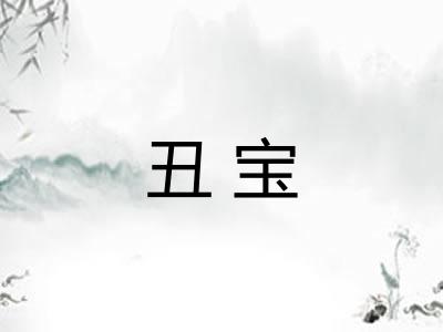 丑宝