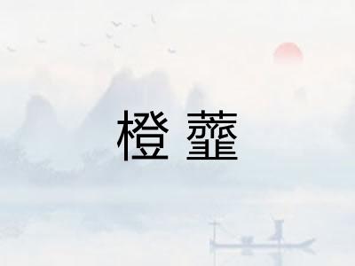 橙虀