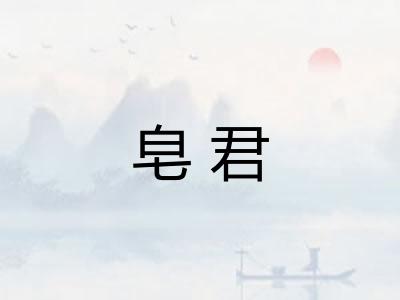 皂君