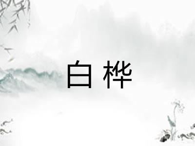 白桦