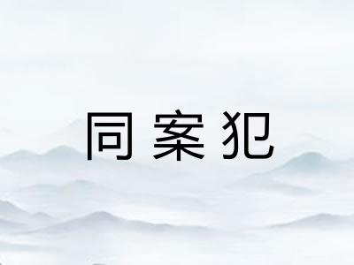 同案犯