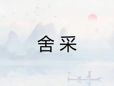 舍采